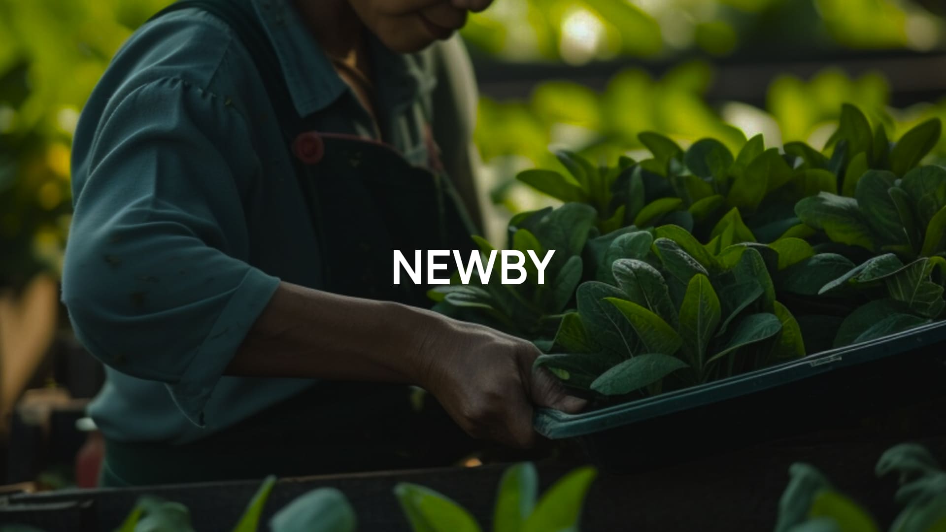 Интернет бутик чая NewBy